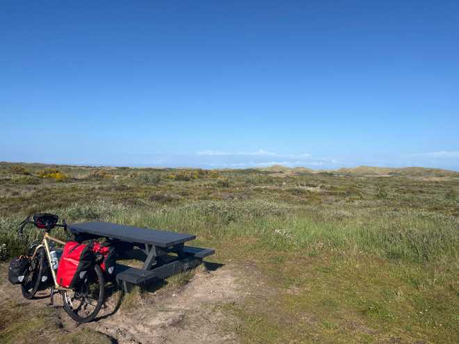 Bike leaned against bench in dune habitat