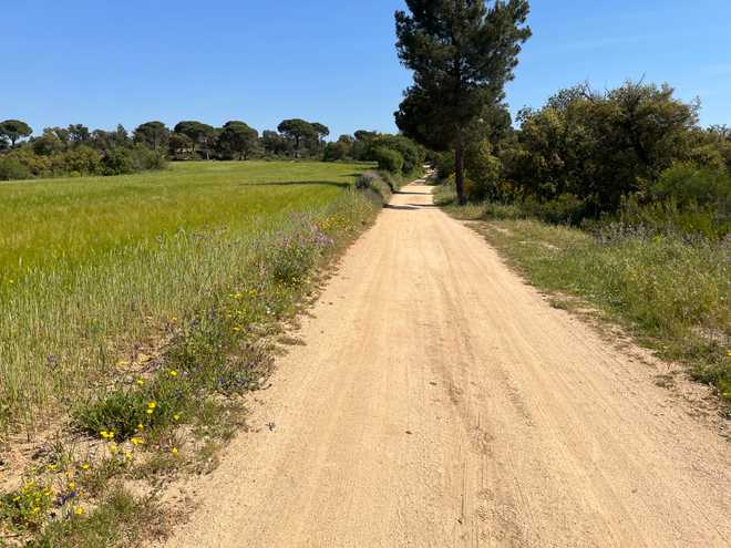 Dirt Roads